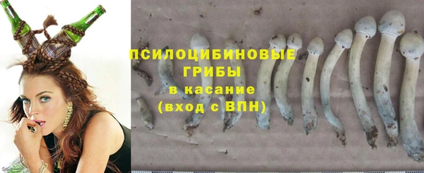 шишки Фурманов