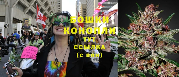 соль ск Кулебаки