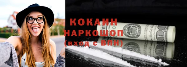 соль ск Кулебаки