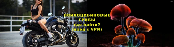 соль ск Кулебаки