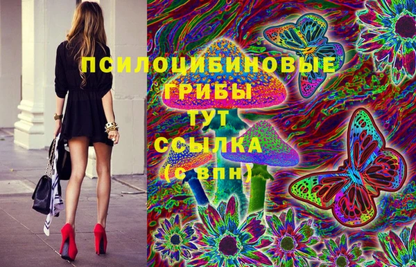 крисы Няндома