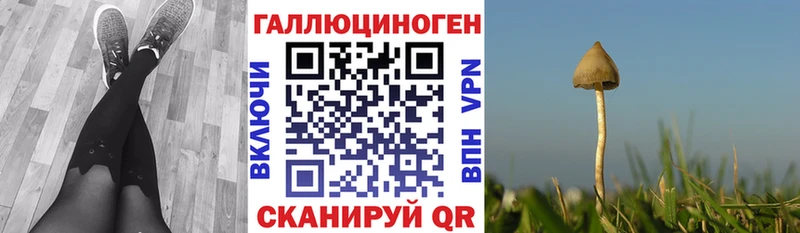 Галлюциногенные грибы Cubensis  магазин продажи наркотиков  Далматово 